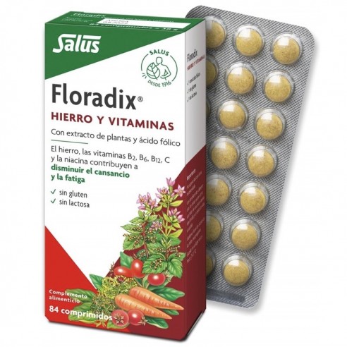 Floradix 84 comprimidos